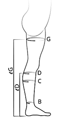 Způsob měření produktu Autofit návlek na stehno a lýtko 3735